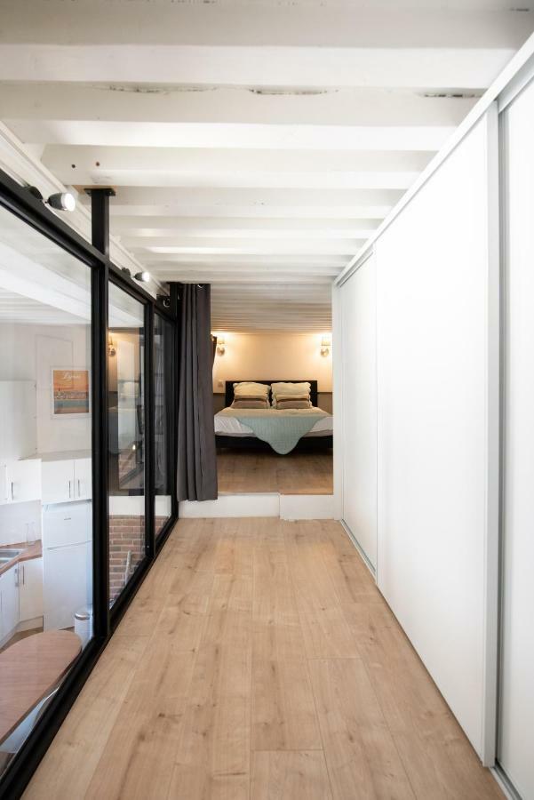 Apartmán Le Ferratiere - Moderne Industriel Du Vieux Lyon Exteriér fotografie