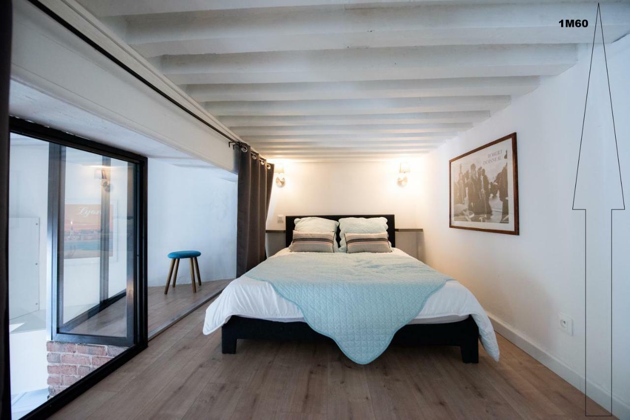 Apartmán Le Ferratiere - Moderne Industriel Du Vieux Lyon Exteriér fotografie
